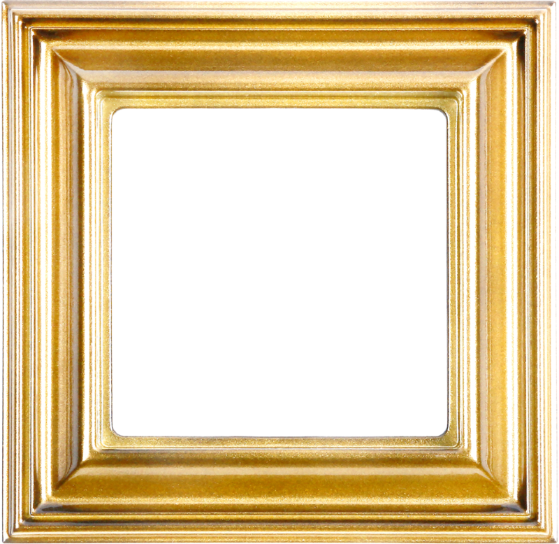 Eco Profi DECO - Рамка для вертикальной и горизонтальной установки 1-местная, цвет золото